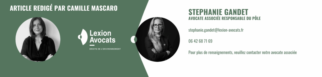Camille Mascaro Stéphanie Gandet avocates
